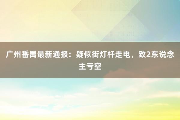 广州番禺最新通报：疑似街灯杆走电，致2东说念主亏空